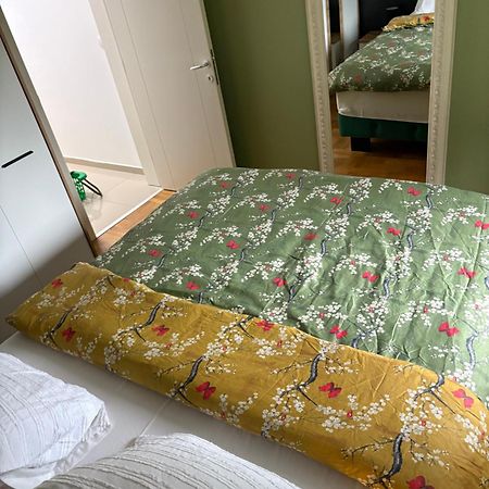 Apartman Diana สเรมสกา มิโตรวิตซา ภายนอก รูปภาพ