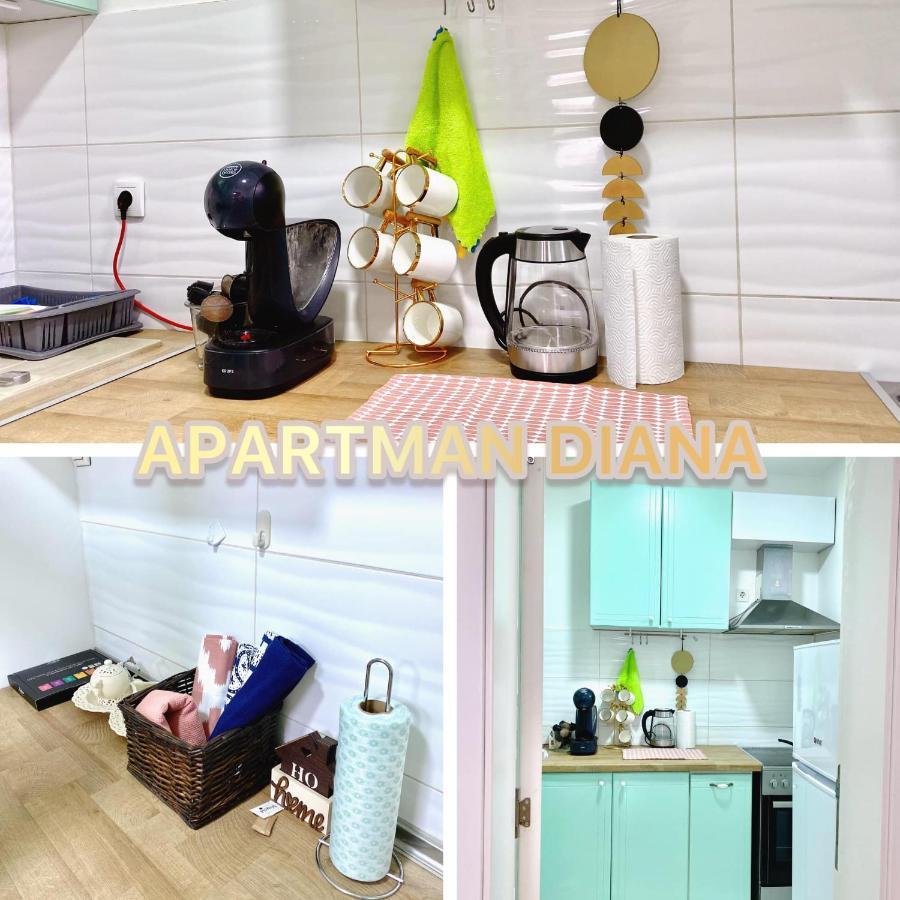 Apartman Diana สเรมสกา มิโตรวิตซา ภายนอก รูปภาพ